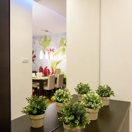 Modern Bright Apartment 2